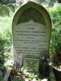 image of grave number 150896